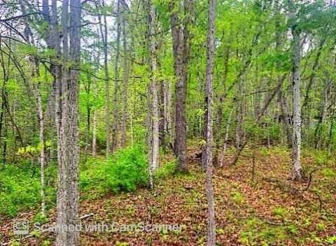 Iris Lane, Peterstown, WV 24963