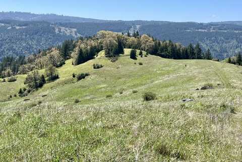+/-164 Acres Sabertooth Road, Berry Summit, CA 95525