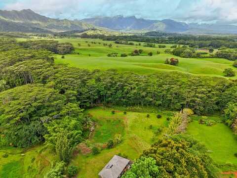 1636-B HULI RD, Kilauea, HI 96754