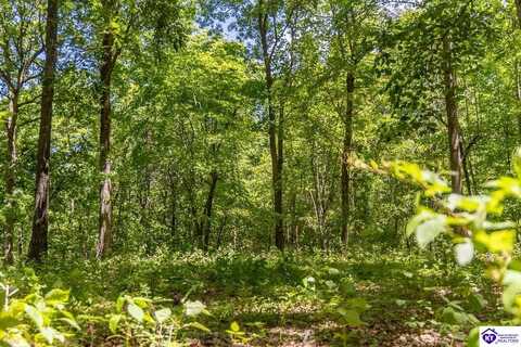 Tract 2 1755 Friendship Church Road, Munfordville, KY 42765