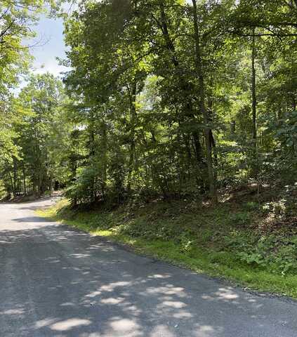 TBD WILLOW LN, MOUNT JACKSON, VA 22842