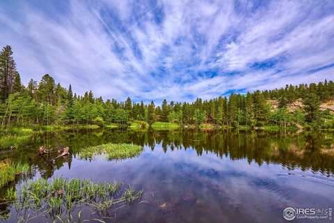 0 Pine Cone Cir, Ward, CO 80481