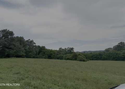 369 Alfred McCammon Rd Tract 14, Maryville, TN 37804