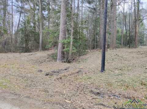 Pine Tree Drive, Harleton, TX 75651