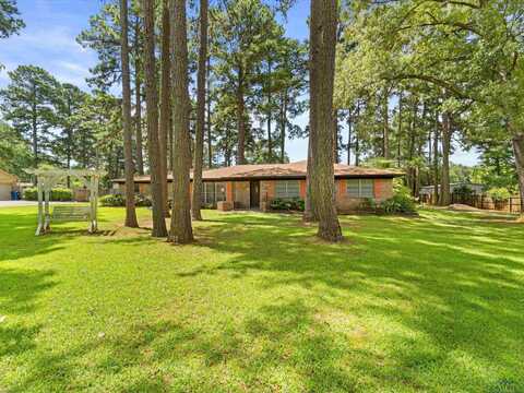 1405 RUTLEDGE AVE, Daingerfield, TX 75638