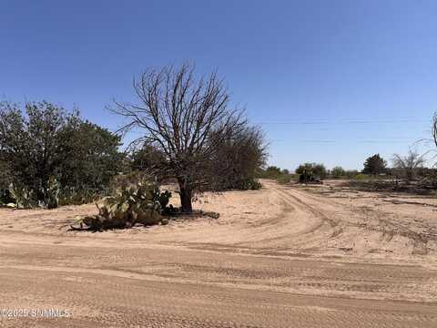 6535 County Road B10, La Mesa, NM 88044