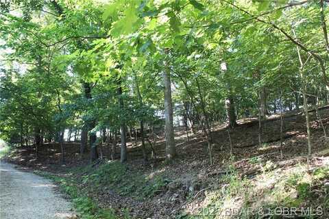 Karen Road, Gravois Mills, MO 65037
