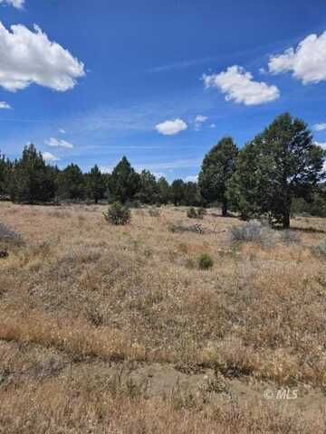 Pintail Dr, Alturas, CA 96101