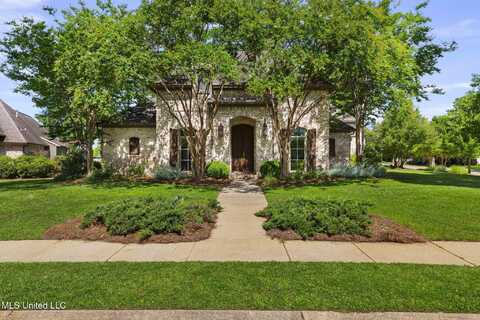 101 Shoreline Drive, Madison, MS 39110