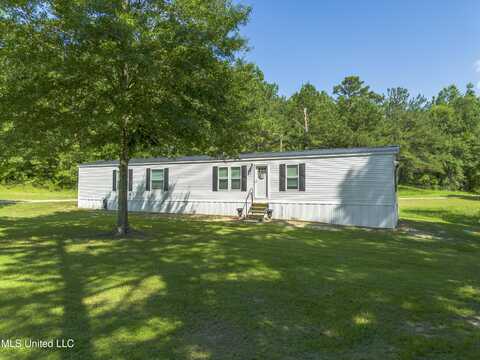 3218 County Road 16, Louin, MS 39338