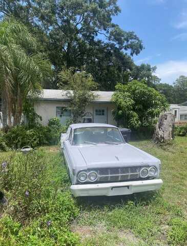 7605 ALVINA STREET, TAMPA, FL 33625