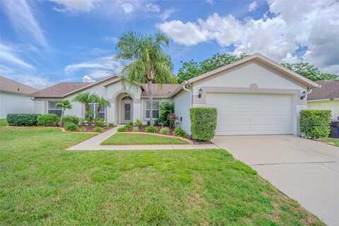 4223 AMBER RIDGE LANE, VALRICO, FL 33594