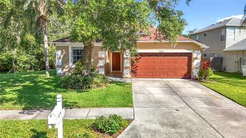 10323 BIRDWATCH DRIVE, TAMPA, FL 33647
