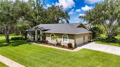 8901 EAGLE WATCH DRIVE, RIVERVIEW, FL 33578