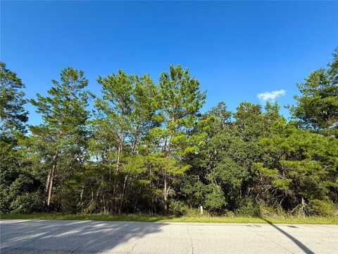 Lot 6 ASPEN STREET, EUSTIS, FL 32736