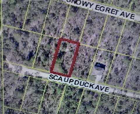 SCAUP DUCK AVENUE, WEEKI WACHEE, FL 34614