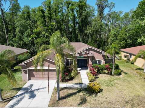 1135 WYNDHAM LAKES DRIVE, ODESSA, FL 33556