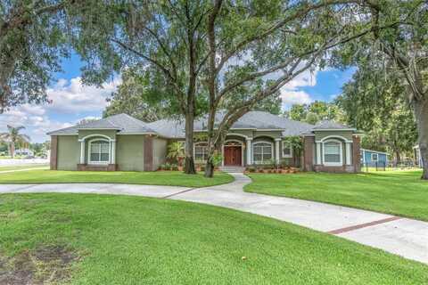 11008 NEST COURT, ODESSA, FL 33556