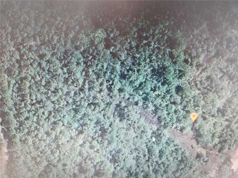 HOLOPAW GROVES ROAD, Saint Cloud, FL 34771