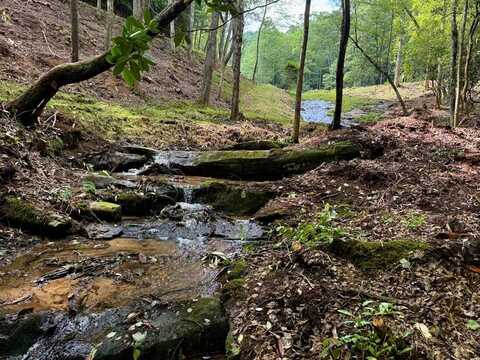 1443 Greasy Creek Road, MURPHY, NC 28906
