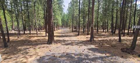 52328 Elderberry Court, La Pine, OR 97739