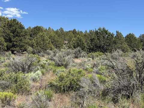 Medicine Mountain Drive, Beatty, OR 97621