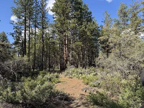 Thunderbear Road, Bonanza, OR 97623