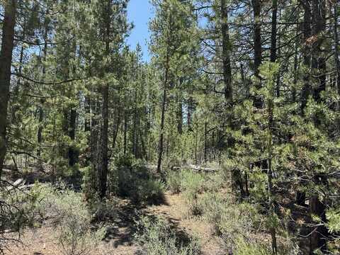 Gabriel Court, Crescent Lake, OR 97733