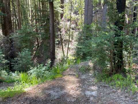 506 Sunset RD, BOULDER CREEK, CA 95006