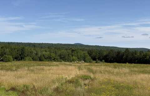 Map13lot21 Route 199 Route, Penobscot, ME 04476