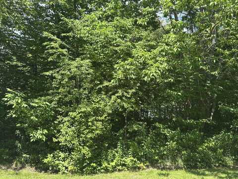 Lot #3 Peaslee Road Road, Hancock, ME 04640