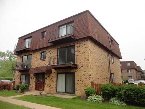9703 BIANCO Terrace, Des Plaines, IL 60016