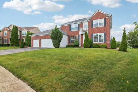 25212 Trelliage Avenue, Plainfield, IL 60585