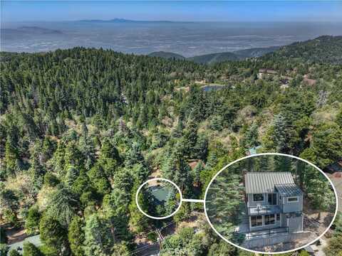 1040 Mile High Road, Twin Peaks, CA 92391