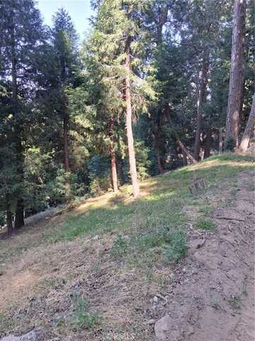 61 Evergreen Drive, Cedarpines Park, CA 92322