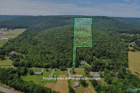 Site 2a&2b S All Jersey Road, Somerville, AL 35670