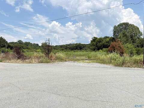 +/-3 Ac Cox Avenue, Stevenson, AL 35772