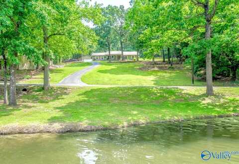 300 County Road 728, Cedar Bluff, AL 35959