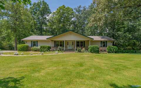 10825 Alabama Highway 67 S, Joppa, AL 35087