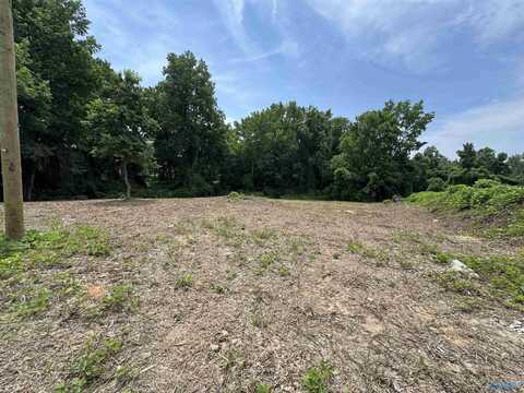 0.92 Acre Lot George Wallace Drive E, Rainsville, AL 35986