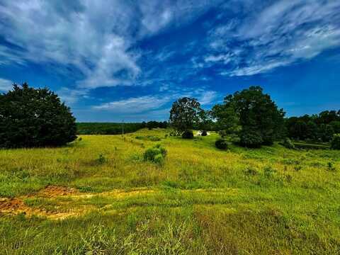 CR 102 (Old Town Rd), Pittsboro, MS 38951