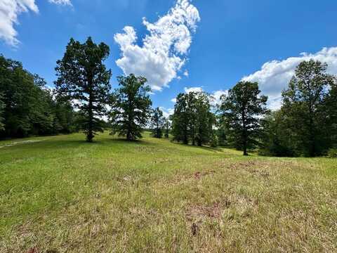 CR 102 (Old Town Rd), Pittsboro, MS 38951