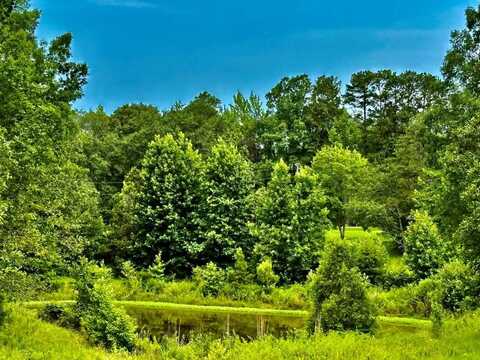 CR 102 (Old Town Rd), Pittsboro, MS 38951