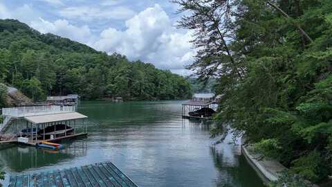Lot 6&7 Browns Cove Road, Blue Ridge, GA 30513