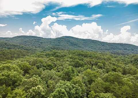 56.46 Ac Cutcane Road, Mineral Bluff, GA 30559