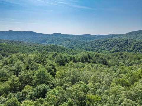 83.98 Ac Cutcane Road, Mineral Bluff, GA 30559