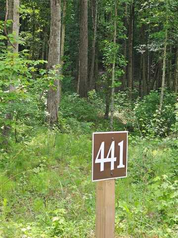 Twisted Oak Road, Talking Rock, GA 30175