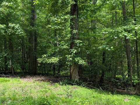 Lot 58 Acadia Drive, Ellijay, GA 30540