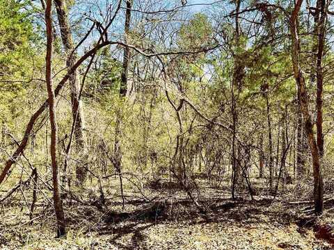 17965 Meandering Way, Flint, TX 75762