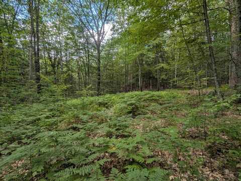 A 66 Burton Highway, Wilton, NH 03086